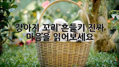 강아지 꼬리 흔들기: 진짜 마음을 읽어보세요!